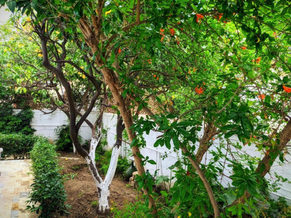 House With Garden In City Of Rhodes Rhodes City 外观 照片